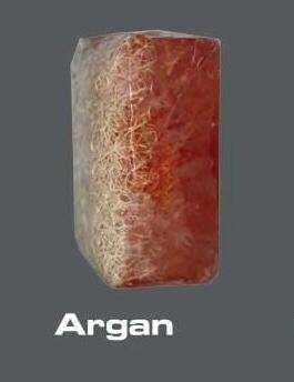Argan